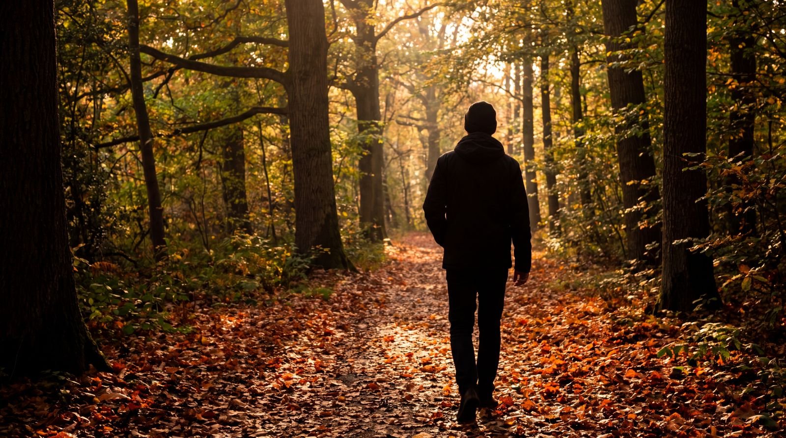 A person seen from behind walking a leaf-strewn path through autumn woods
