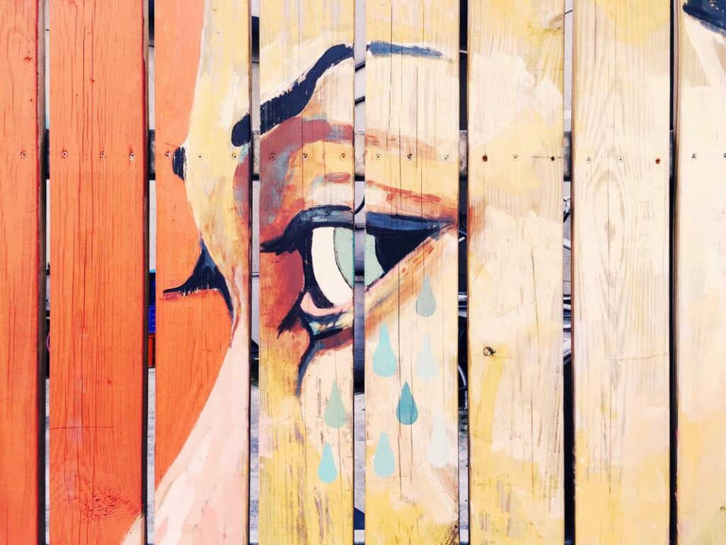 Crying Fence