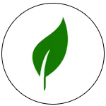 The Initial Consultation